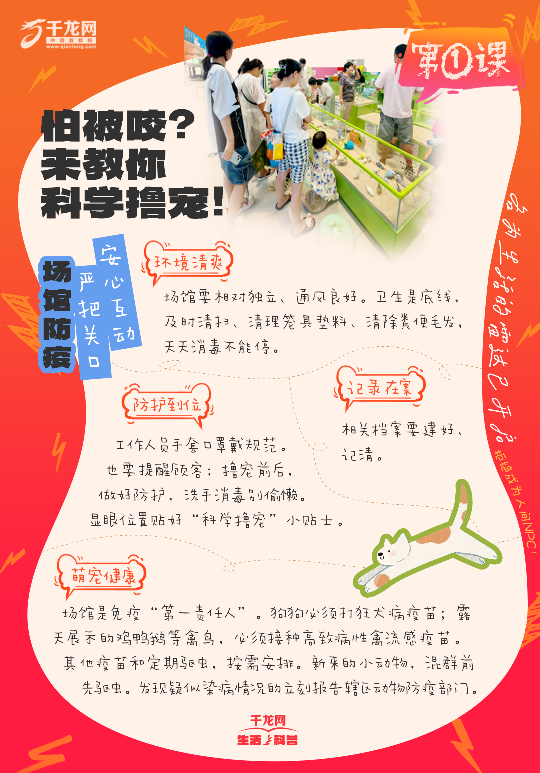 4 拷贝