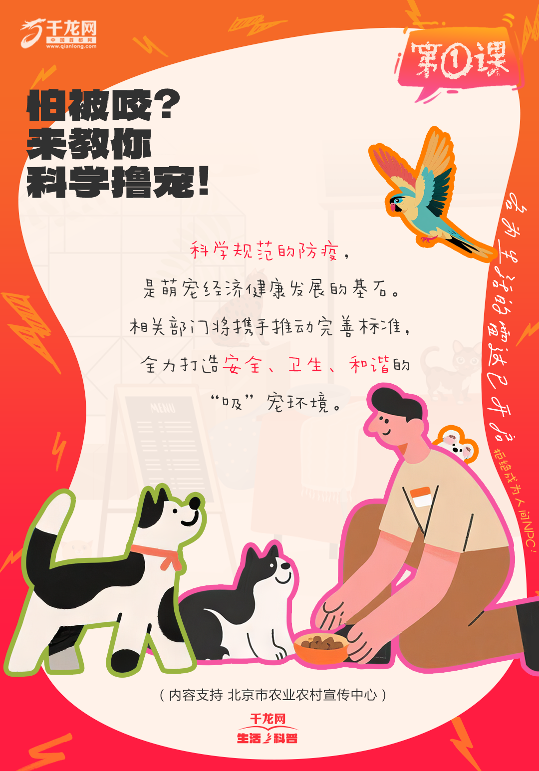 5 拷贝