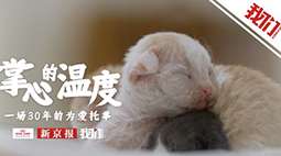掌心的温度：一场30年的为爱托举