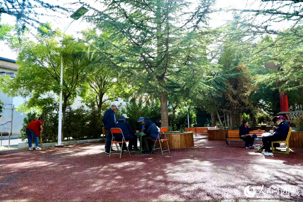 老人们在绿树成荫的“社区会客厅”中对弈休憩。人民网记者 次仁罗布摄