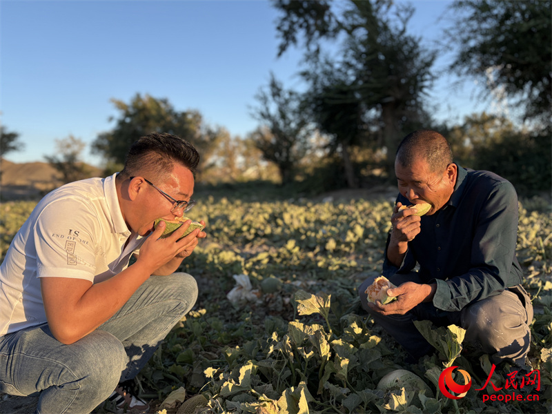 闫小兵（左一）和种植户在瓜地里品尝苦豆蜜瓜。人民网记者 陈新辉摄