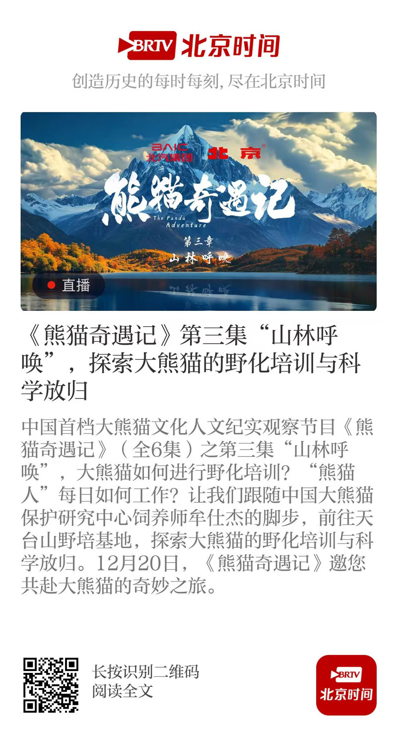 05-代表作品-赖一锐