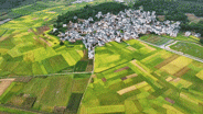 农文商旅融合助乡村振兴