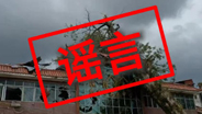 台风期间造谣？严惩！