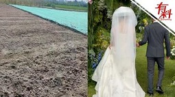 婚礼上最珍贵的“嫁妆”！妈妈用四个月亲手种出草坪