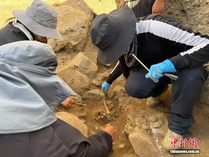 西藏高原女子考古队:以热爱叩问极地历史文明