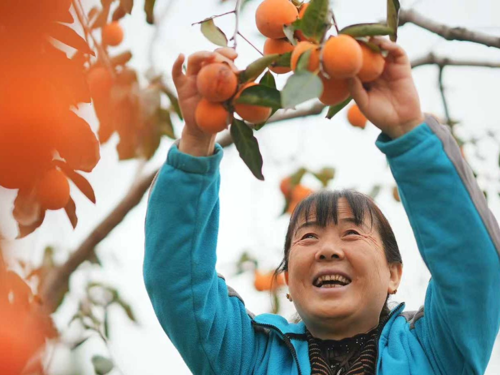 fd94809c43114535b0acd1ca7040e967