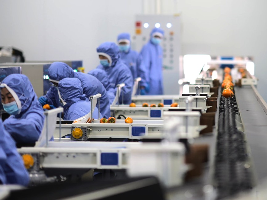 87ada21b8fcc46448e6af03912865780