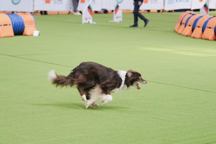 0ece51a4-c95e-40db-9b08-d6b643670097