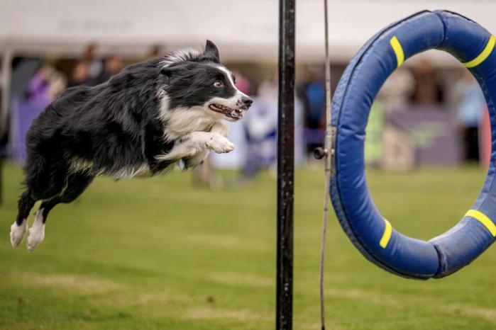 175dc9fd-d176-4330-95bc-4eafd7e3041b