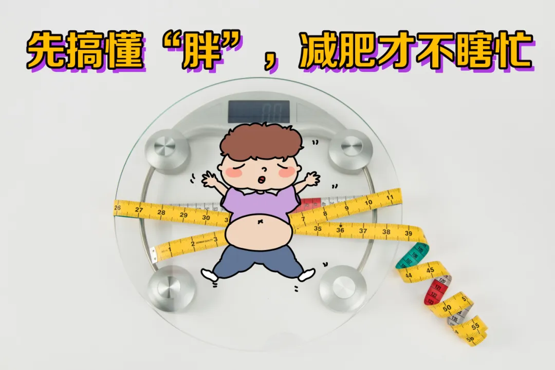 减肥真的没那么难!国家背书的“健康体重管理百科”刷3遍,我终于瘦了!科学