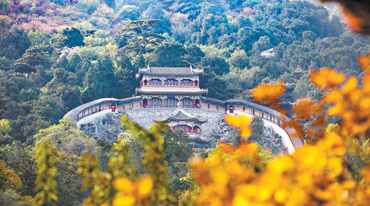 香山秋意晚 赏叶正当时