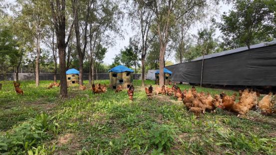 037ba2b3-796a-449f-affa-47a417ae1523