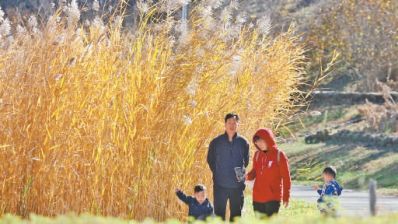 北京城市副中心赏秋地图再“上新”