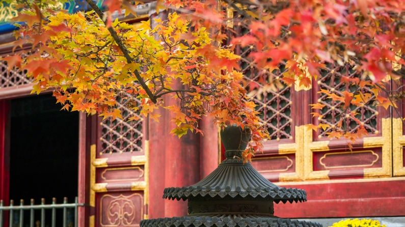 收藏！秋天是写在古都的诗篇