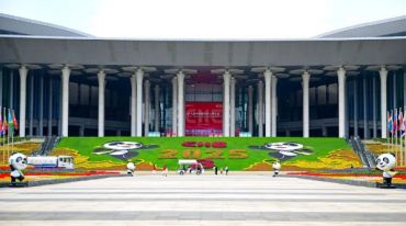 越长越“高”！进博会八岁了