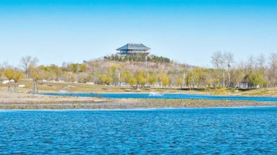 南苑森林湿地公园西片区开建