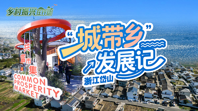 乡村振兴在行动丨浙江岱山：“城带乡”发展记