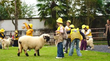 秋假“上線”，收獲幾何？