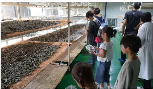 微信图片_20251123174359_757_15