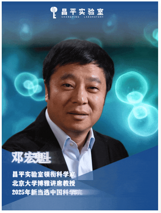 微信图片_20251123174609_758_15