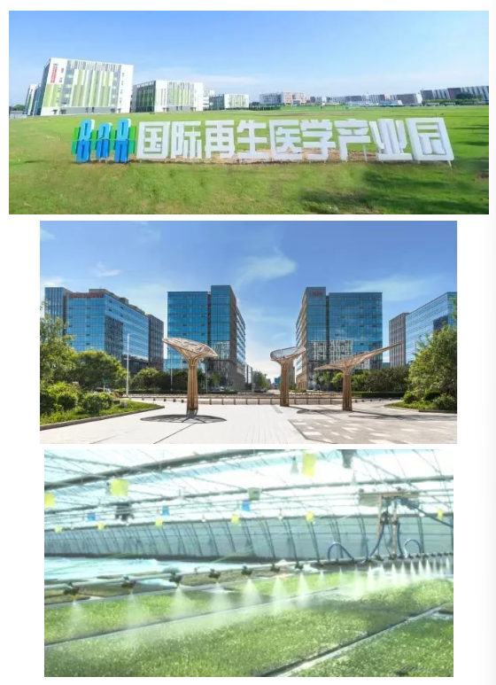 微信图片_20251123175122_765_15