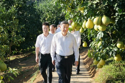 微信图片_20251123201517_772_15