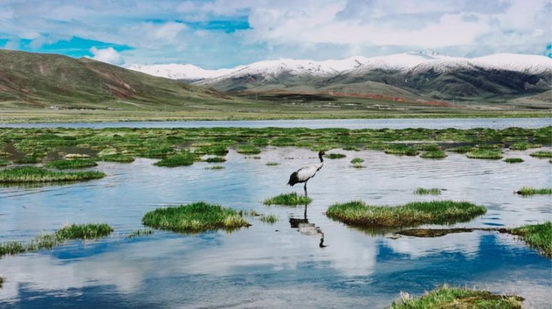 大国五年｜盛世治水，海晏河清时和岁丰