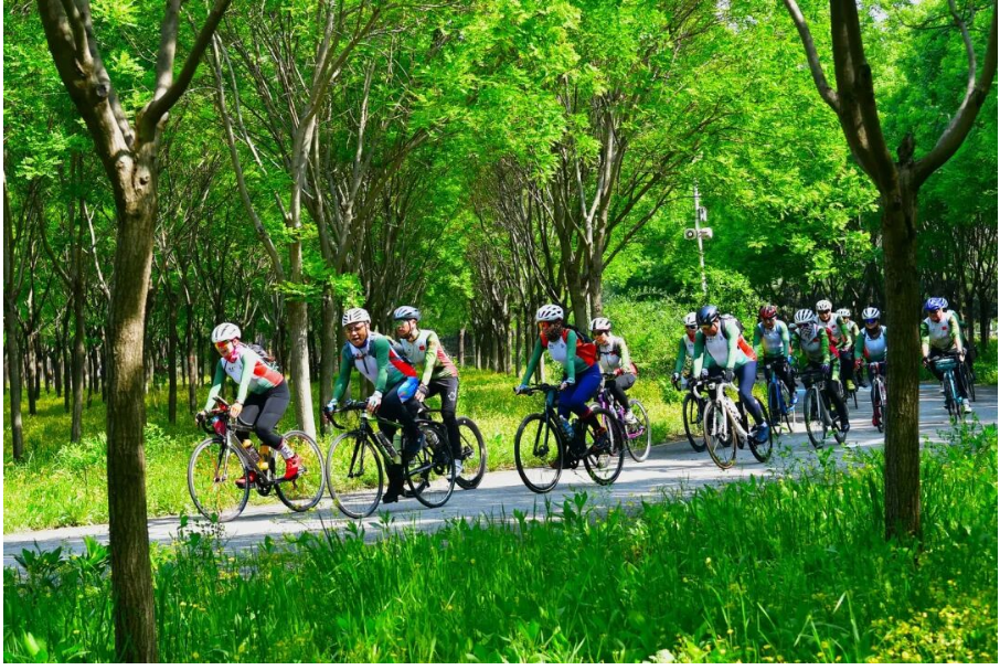 微信图片_20251128133733_857_15