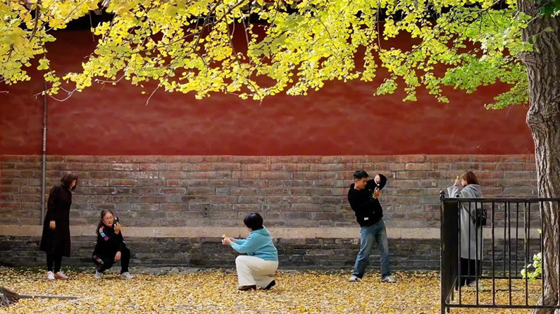 文旅消费提质升级 多地经济焕发冬日新活力