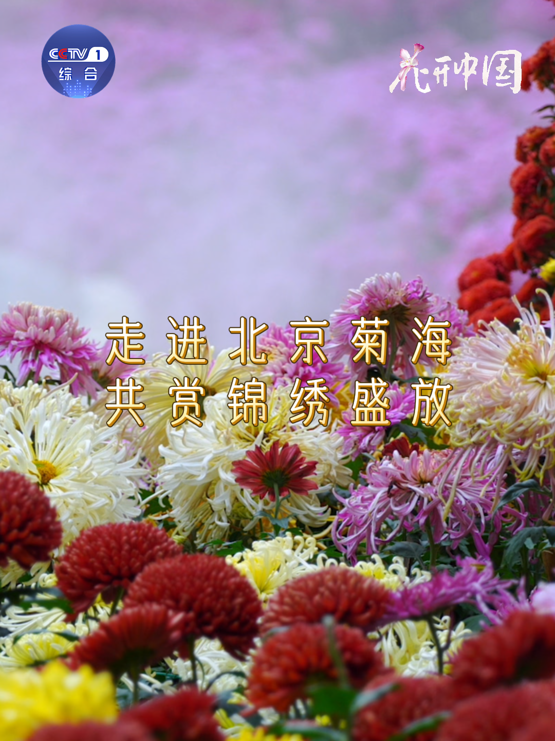 微信图片_2025-11-29_202934_594