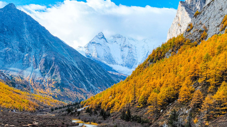 一座矿山里的“生态蝶变”