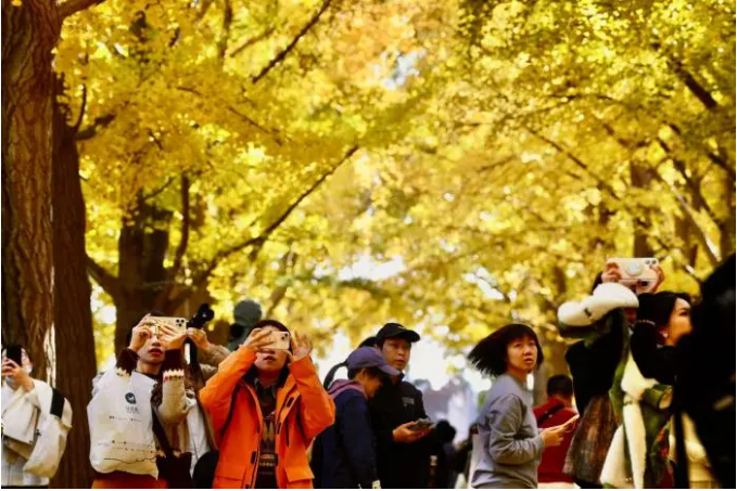 微信图片_2025-11-30_154023_319