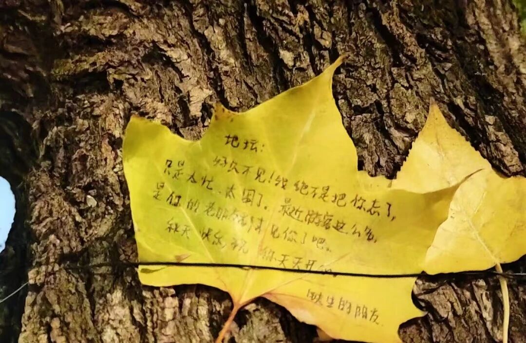 微信图片_2025-12-04_113401_007