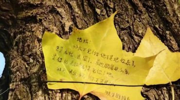 年轻人热衷在北京“访古寻迹”