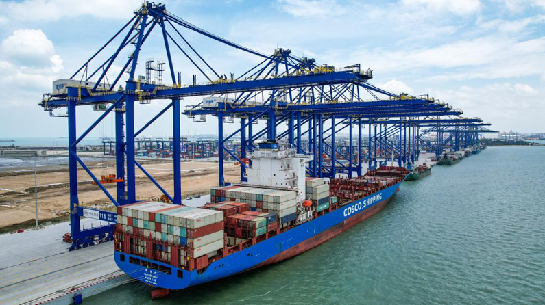 海岛新程｜政策红利释放 助力企业降本增效