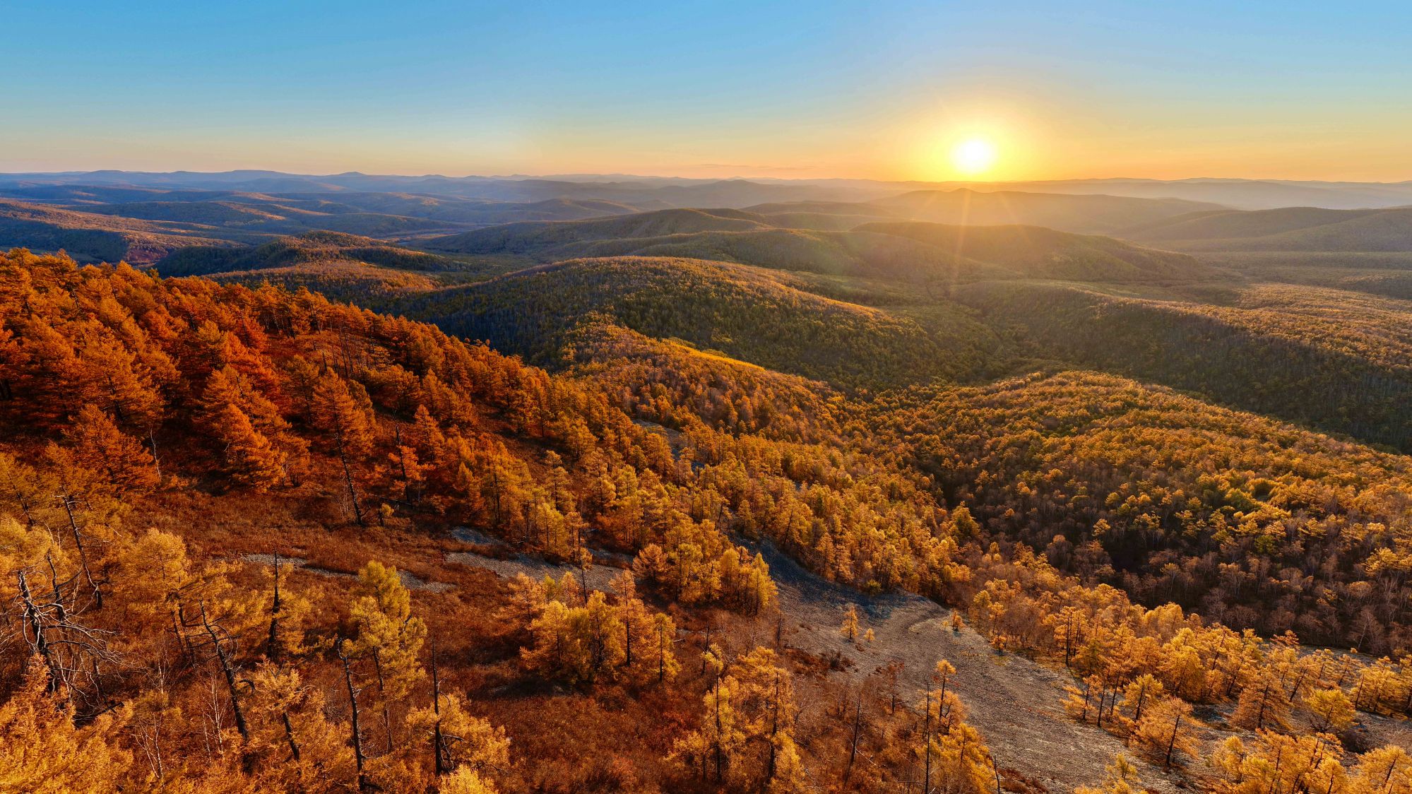 中国“调色盘”增新绿! 森林覆盖率超25
