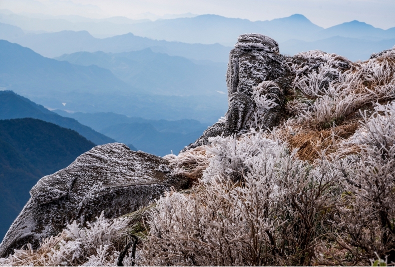 广东清远三水瑶族乡与湖南蓝山县交界的南方坳,树枝被冰层包裹,草丛披上水晶外衣。南方+记者 段奇 摄 广东清远三水瑶族乡与湖南蓝山县交界的南方坳,树枝被冰层包裹,草丛披上水晶外衣。南方+记者 段奇 摄