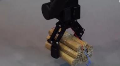 感知中国活力 机器人擘画生活新场景