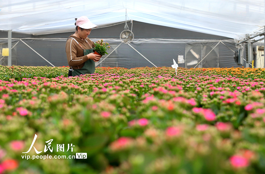 &aring;&plusmn;&plusmn;&auml;&cedil;&eacute;&aring;&sup2;&iuml;&frac14;&acirc;&egrave;&plusmn;&aring;&ccedil;&raquo;&aelig;&micro;&acirc;&aring;&copy;&aring;&auml;&sup1;&iexcl;&aelig;&aelig;&macr;&aring;&acute;&atilde;2&atilde;