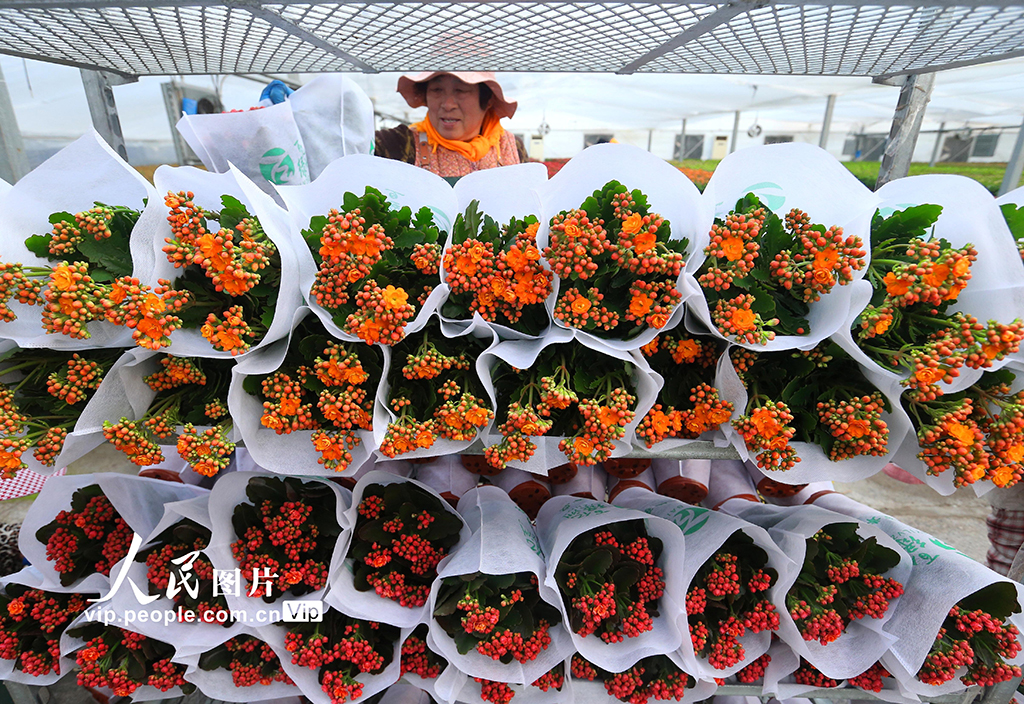 &aring;&plusmn;&plusmn;&auml;&cedil;&eacute;&aring;&sup2;&iuml;&frac14;&acirc;&egrave;&plusmn;&aring;&ccedil;&raquo;&aelig;&micro;&acirc;&aring;&copy;&aring;&auml;&sup1;&iexcl;&aelig;&aelig;&macr;&aring;&acute;&atilde;5&atilde;