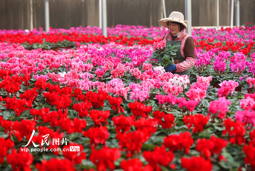 &aring;&plusmn;&plusmn;&auml;&cedil;&eacute;&aring;&sup2;&iuml;&frac14;&acirc;&egrave;&plusmn;&aring;&ccedil;&raquo;&aelig;&micro;&acirc;&aring;&copy;&aring;&auml;&sup1;&iexcl;&aelig;&aelig;&macr;&aring;&acute;