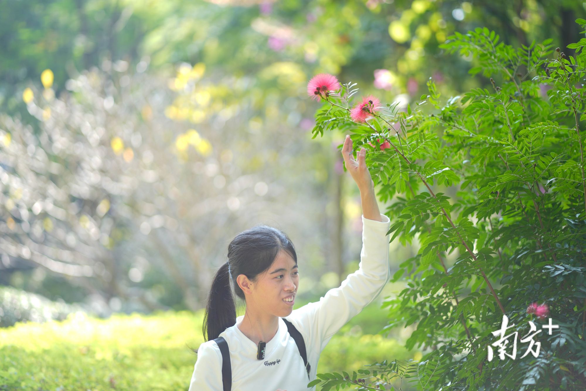 12月8日,许兴群在跑步途中触摸花朵。 12月8日,许兴群在跑步途中触摸花朵。