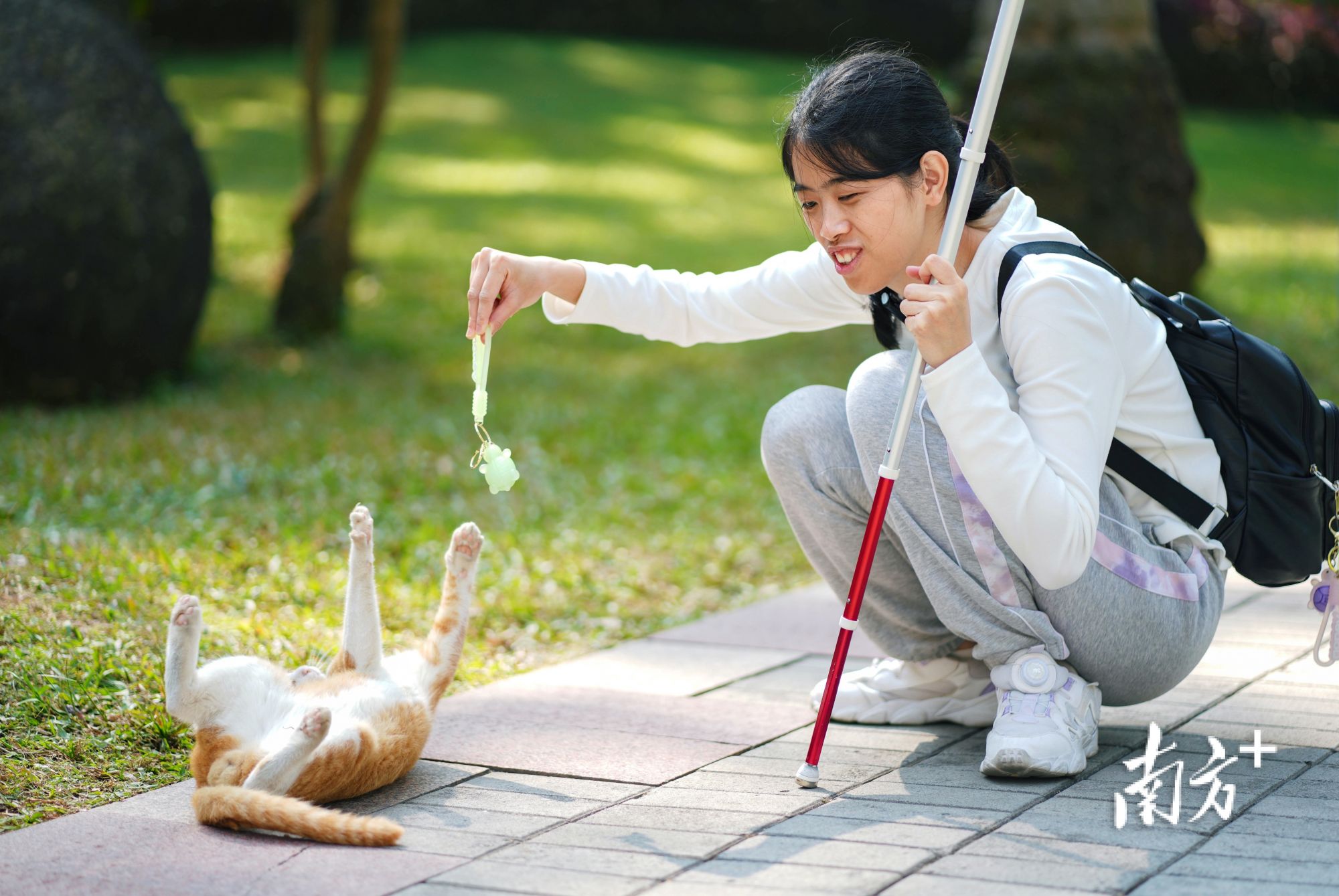 12月8日,许兴群在跑步途中,与遇到的猫咪玩耍。 12月8日,许兴群在跑步途中,与遇到的猫咪玩耍。