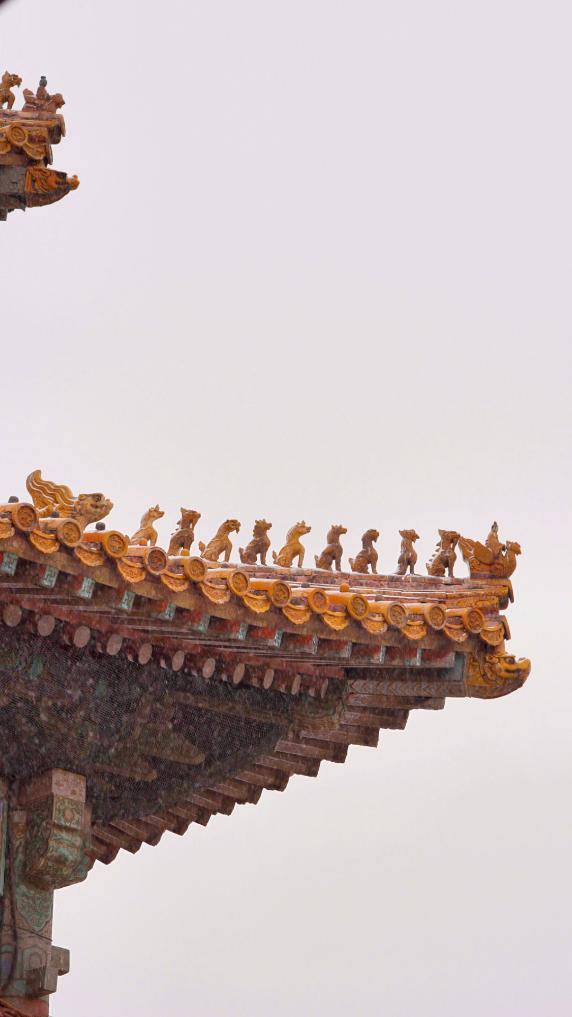 故宫百年雪速览