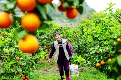 锚定目标，打好年底&ldquo;收官仗&rdquo;