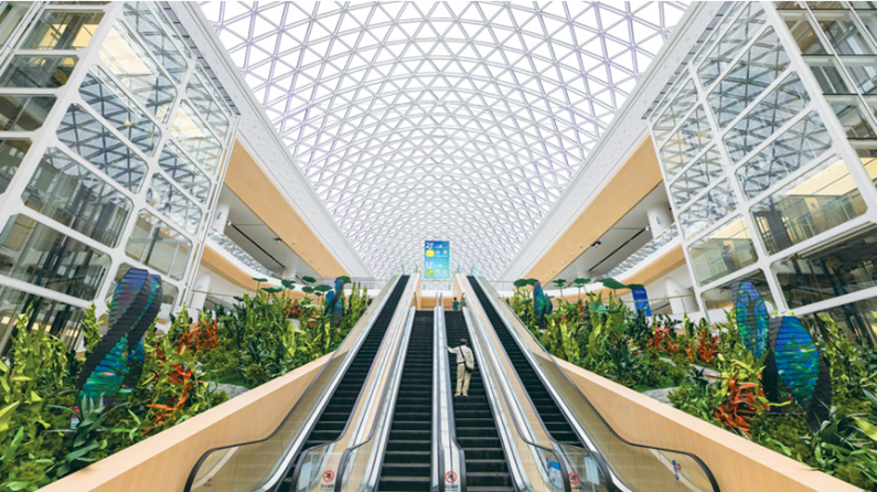 “粵”上新臺階丨大灣區機場源源不斷的客流增量從何而來