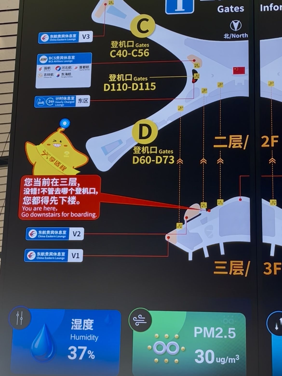 儿化+絮叨让北京大兴机场航站楼提示语味儿十足