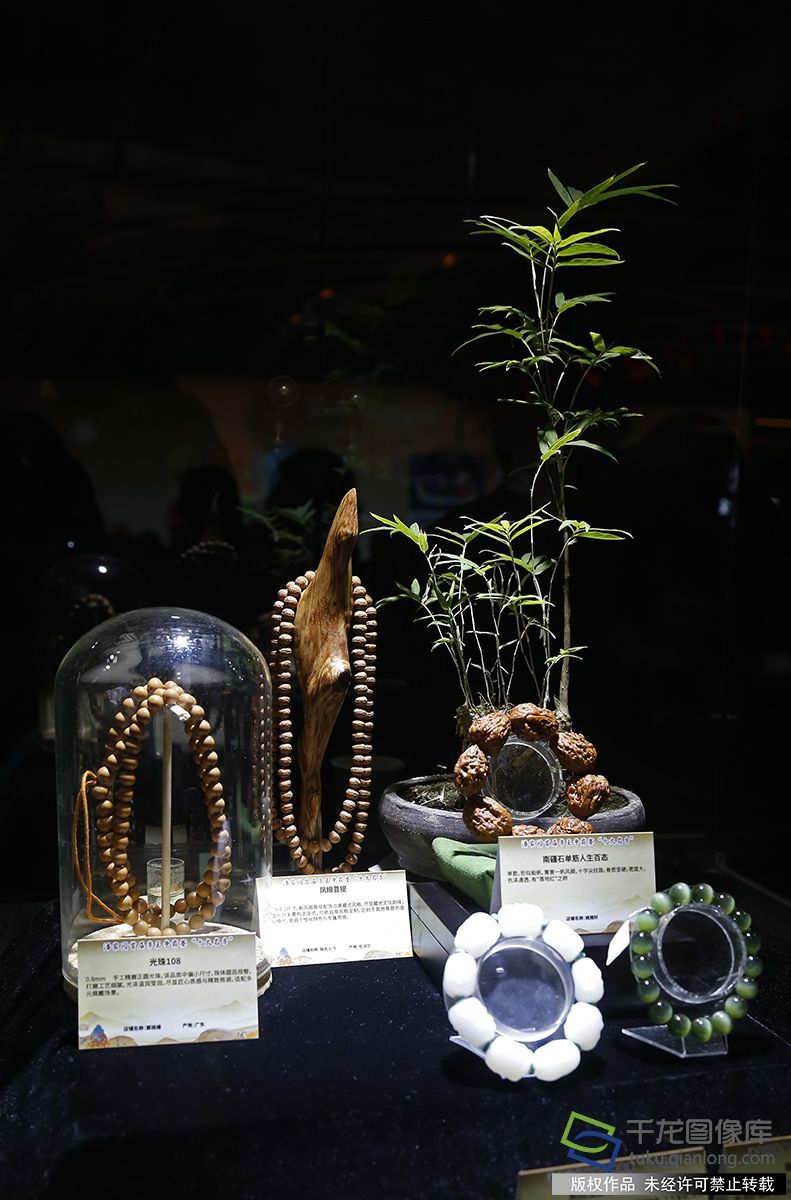 现场展示的获奖串