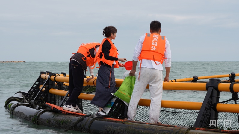 行进的海岸线｜向深海“掘金”，丰实“粤海粮仓”